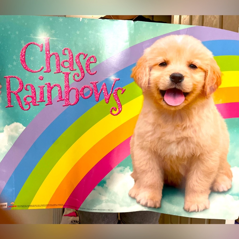 Dog Poster